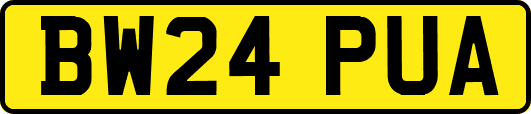 BW24PUA