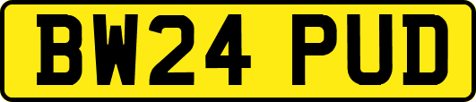 BW24PUD