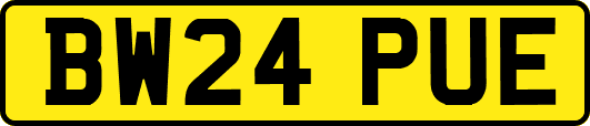 BW24PUE