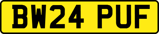 BW24PUF