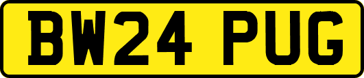 BW24PUG