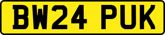 BW24PUK