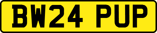 BW24PUP