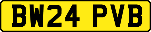 BW24PVB