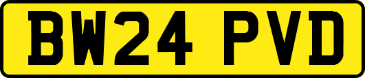 BW24PVD