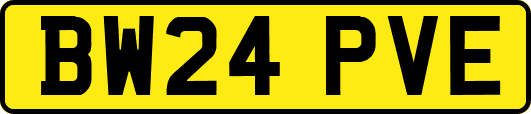 BW24PVE