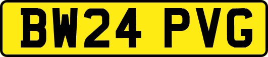 BW24PVG