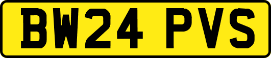 BW24PVS