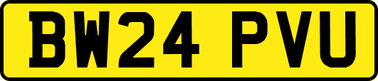 BW24PVU