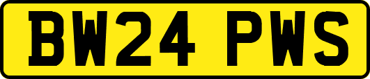 BW24PWS