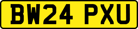 BW24PXU