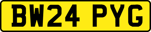 BW24PYG