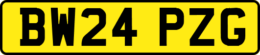 BW24PZG