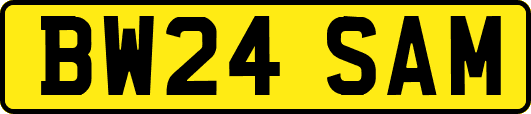 BW24SAM