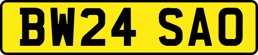 BW24SAO