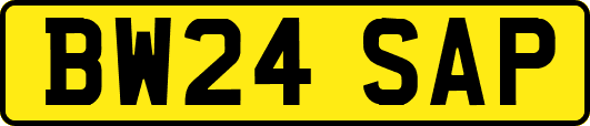 BW24SAP