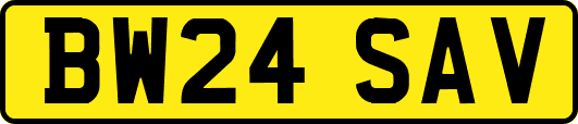 BW24SAV