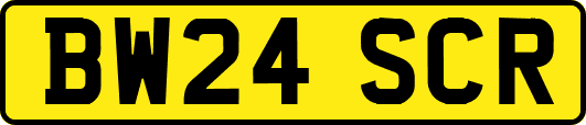 BW24SCR