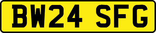 BW24SFG