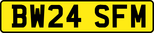 BW24SFM