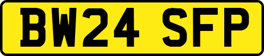 BW24SFP