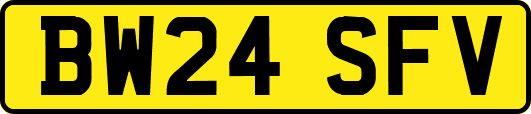 BW24SFV