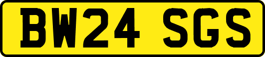 BW24SGS