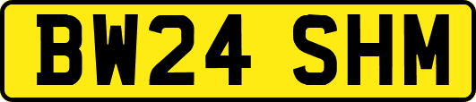 BW24SHM