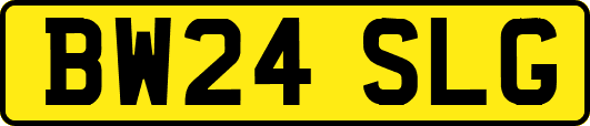 BW24SLG