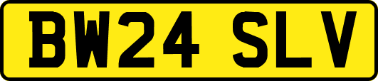 BW24SLV