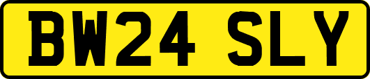 BW24SLY