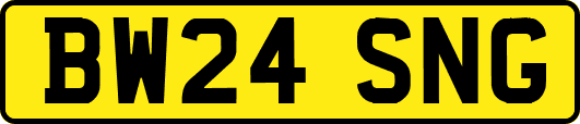 BW24SNG