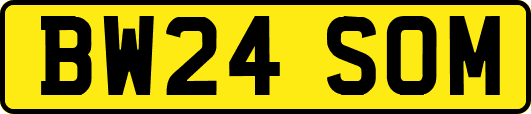 BW24SOM