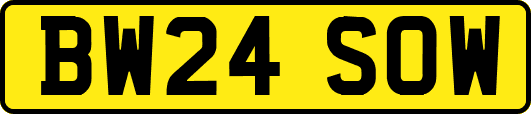 BW24SOW