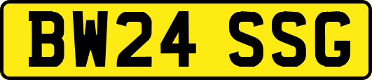 BW24SSG