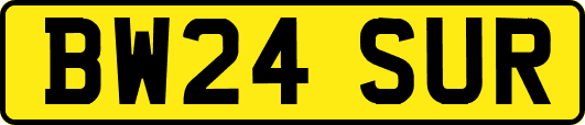 BW24SUR