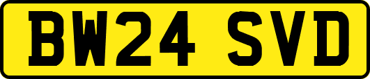 BW24SVD