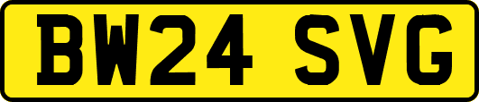 BW24SVG