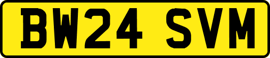 BW24SVM