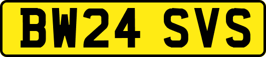 BW24SVS
