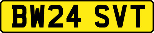 BW24SVT