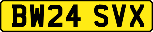 BW24SVX