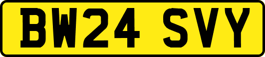 BW24SVY