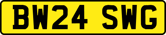 BW24SWG