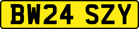 BW24SZY