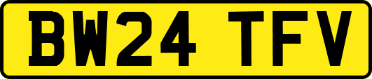 BW24TFV