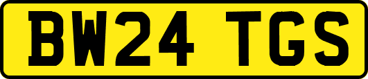 BW24TGS