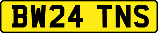 BW24TNS