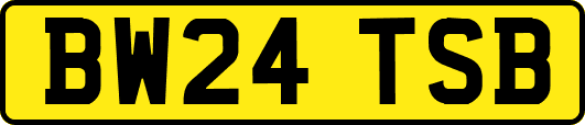 BW24TSB