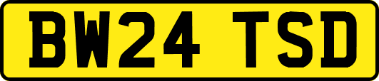 BW24TSD